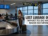 Lost Luggage Guide : What To Do When Bags Go Missing